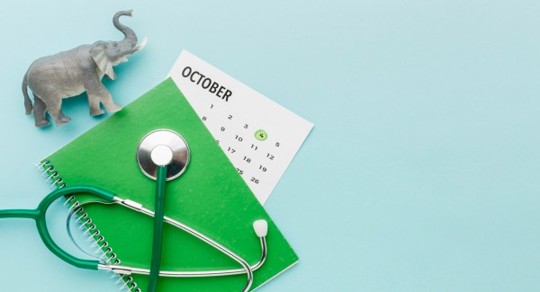 health awareness days